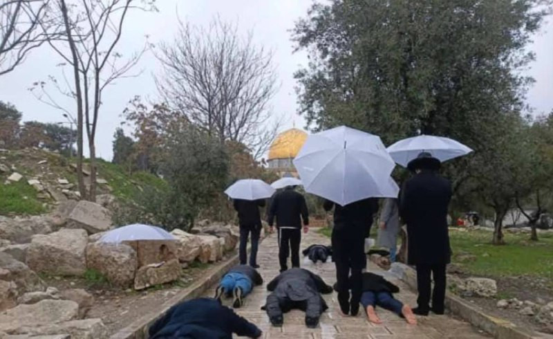 صورة | مستوطنون يؤدون سجودًا ملحميًا خلال اقتحامهم المسجد الأقصى المبارك اليوم...