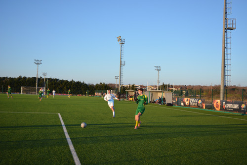 DSC 0003.jpg