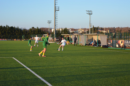 DSC 0007.jpg