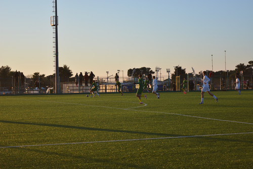 DSC 0016.jpg