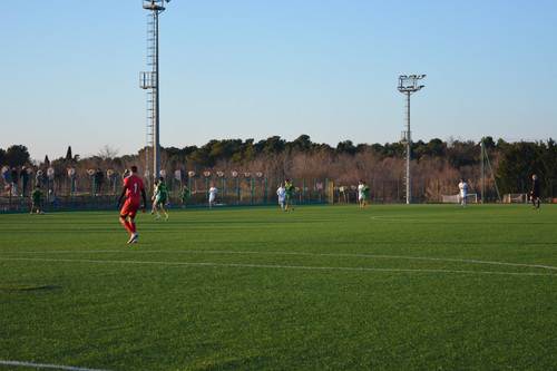 DSC 0015.jpg