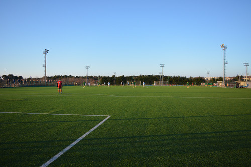 DSC 0013.jpg
