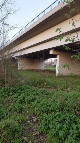 4e7448d14d64.jpg