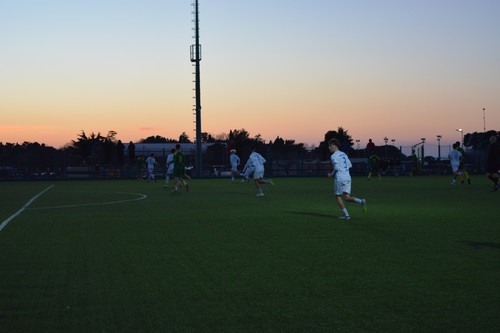 DSC 0040.jpg