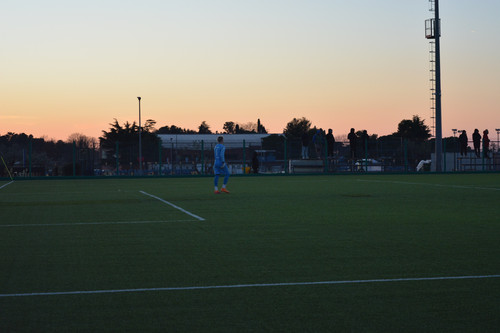 DSC 0038.jpg