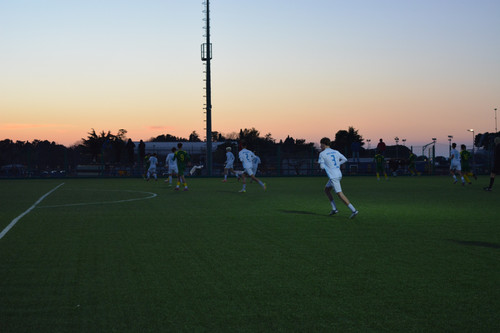 DSC 0041.jpg