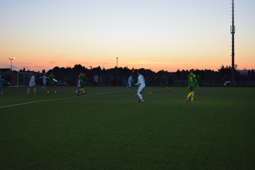 DSC 0050.jpg