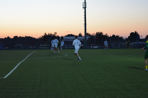 DSC 0042.jpg