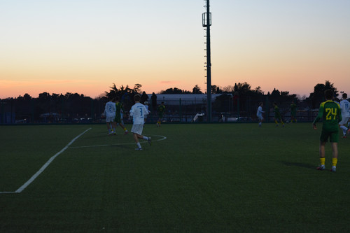 DSC 0043.jpg