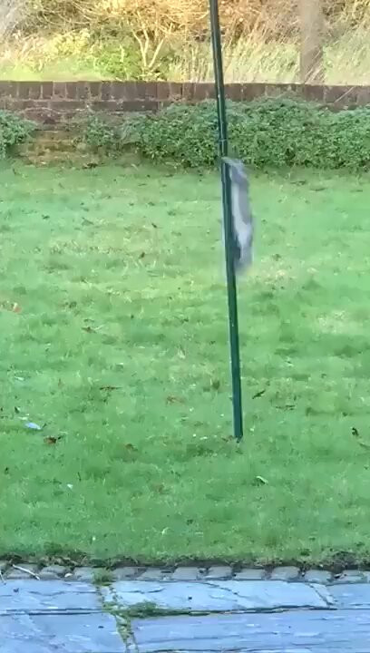 YbkgGt hDUINRofZ.jpg