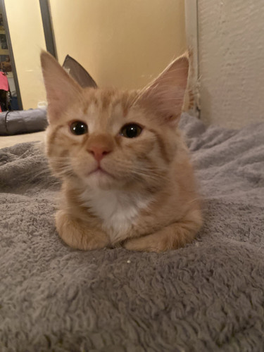 626718256 26669545789298724 4888118555772634273 n.jpg