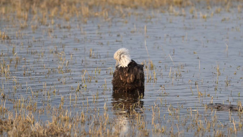 F h VkEoPmHXwZuk.jpg