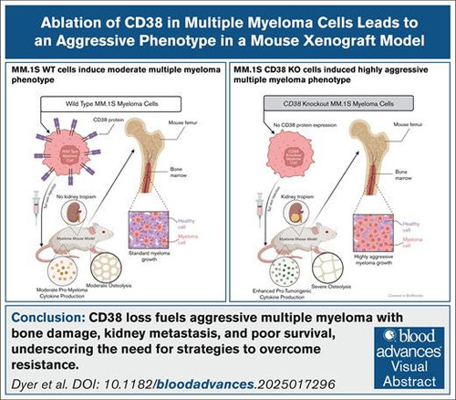HALkbv WUAIIPaw?format=jpg.jpg