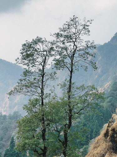 G d69X4aYAAXf4j?format=jpg.jpg