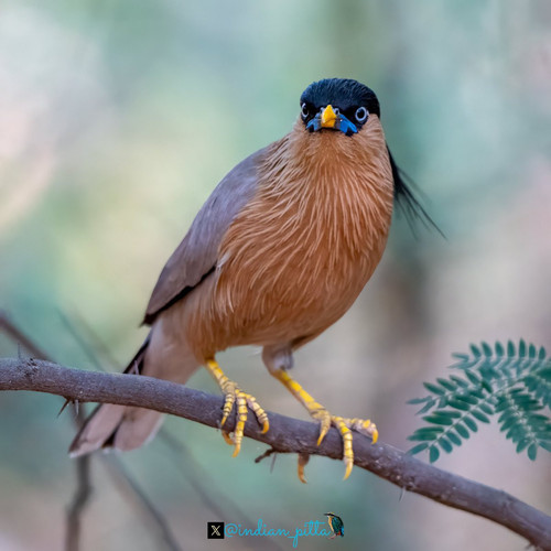 G jSQIqa8AAhcWd?format=jpg.jpg