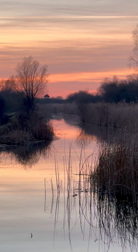 v8 UENZLltJEUFNn.jpg