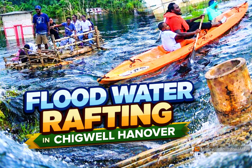 gptimg 1770171398147.png