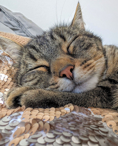 625639013 909783248174836 8978362940715498986 n.jpg