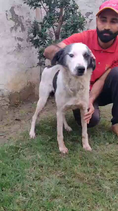 oSx4gjdidEeDJjo .jpg