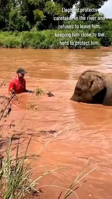 tBjupL9BF Dbguwi.jpg