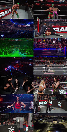 IMG 20260203 165043 992.jpg