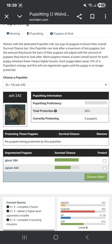 Screenshot 20260203 183930 Chrome.jpg