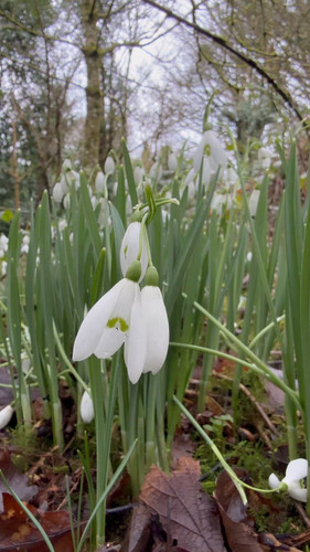 zfnNcI4 eFDRpOMH.jpg