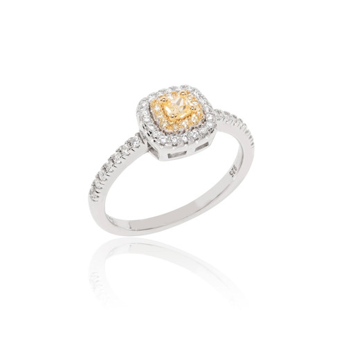 img 689503239f334.jpg