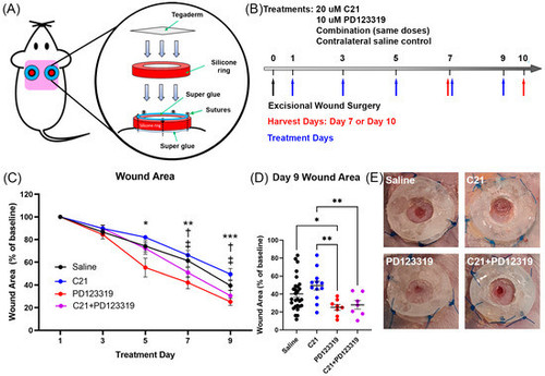 G 5Fx1lXYAA7iiJ?format=jpg.jpg