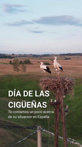 EF 1qrGpRGppnOOz.jpg