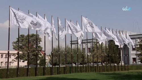 CxkYQAneQwksJx H.jpg