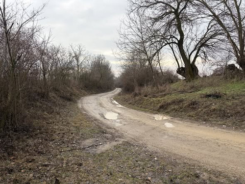 627751793 1467849378678222 4518555097971947834 n.jpg?stp=cp6 dst jpg s590x590 tt6& nc cat=101&ccb=1 .jpg