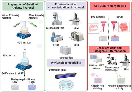 G 5eNGFb0AAF70S?format=jpg.jpg