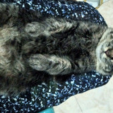 IMG 20251215 223042 867