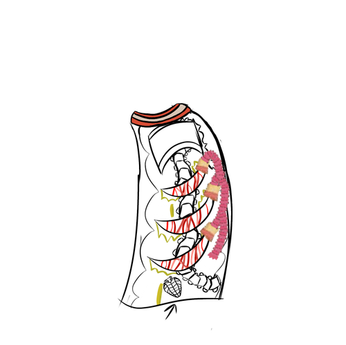 Untitled487 20260203084141.png