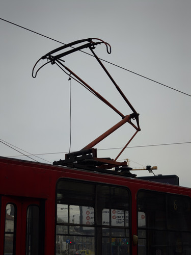 3161.jpg