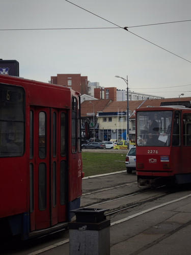 3160.jpg