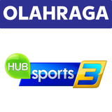 Hub Sports 3.png