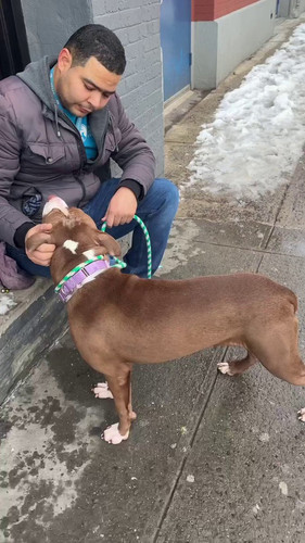 jqEyayRihe CbQWI.jpg