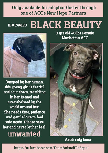 G 6 PqCXMAA7GQ ?format=jpg.jpg