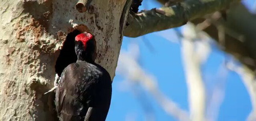 7P6iXyquWOc 1Fgs.jpg