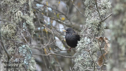 qP0nVD5eZsWW EuW.jpg