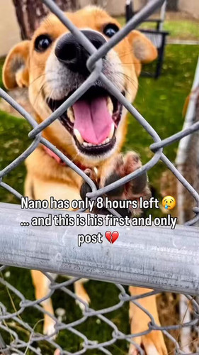 74 t4DiTQXnOD1c .jpg