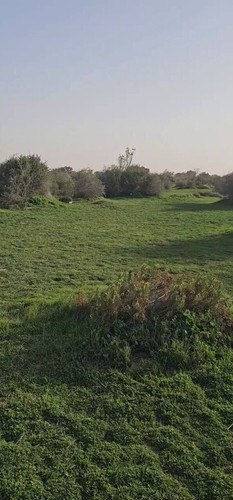 fnRP Nj8eFYYZGYI.jpg