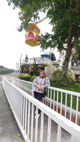 photo 6059886512209334168 y.jpg