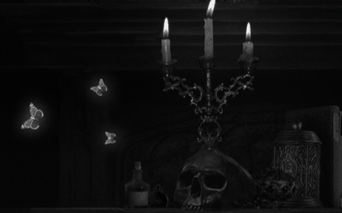 IMG 20260204 182940.jpg