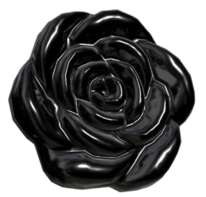 IMG 20260204 184703.png