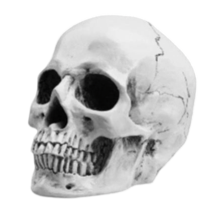 IMG 20260204 184230.png