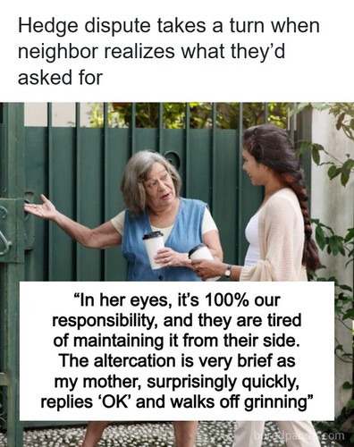 neighbour hedge malicious compliance.jpg