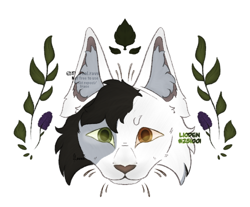 IMG 2249.png